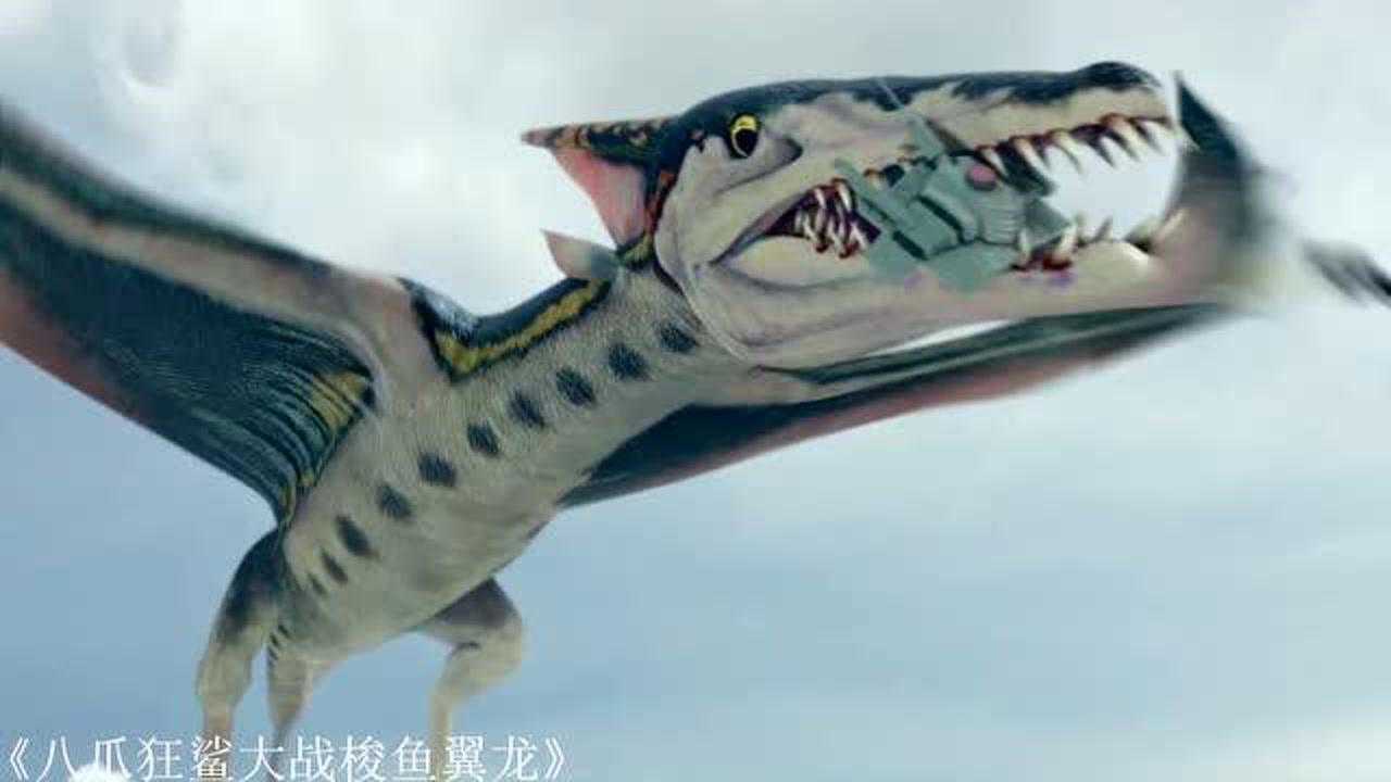 如果"变异鲨鱼"有段位,青铜到王者你见过八爪鲨和陆行鲨吗?