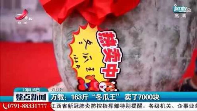 万载:163斤“冬瓜王”卖了7000块