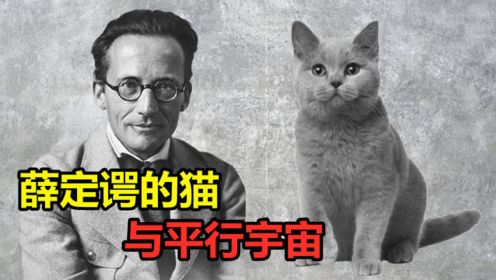 薛定谔的猫：量子力学著名“代言人”，与平行宇宙有什么关系？