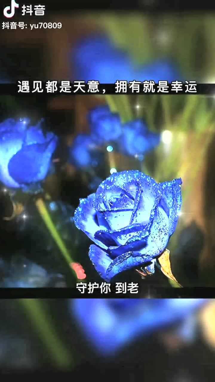 情感热线遇见都是天意拥有就是幸运互相迁就才能长久双向奔赴才有意义