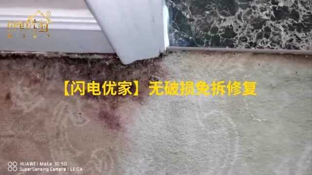 安阳卫生间漏水导致地毯发黑发霉怎么办?漏水维修首选【闪电优家】品牌!