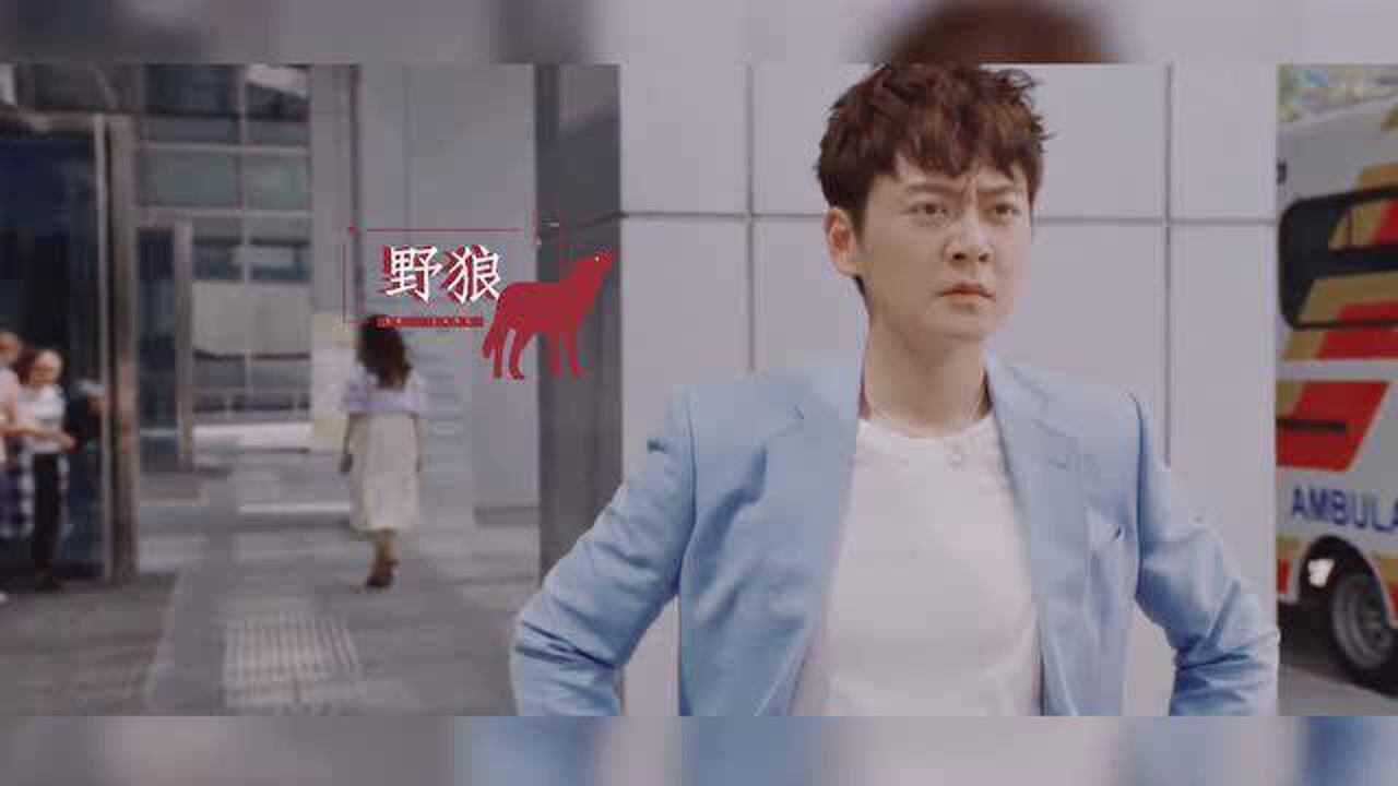 影视男友请就位使徒行者3张振朗我的黑道男友庞浩洋