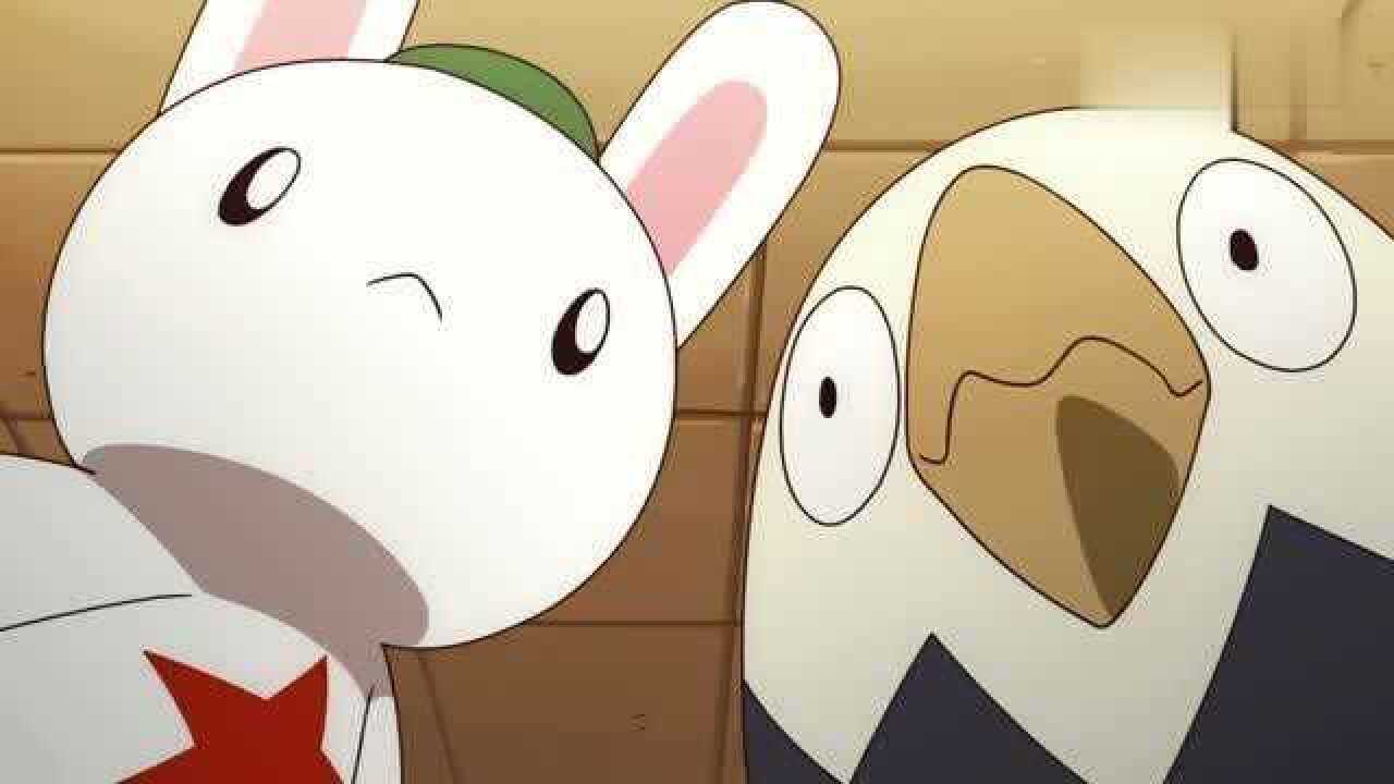 那年那兔那些事儿去签订条约的鹰兔兔子表示不服要开战捍卫尊严