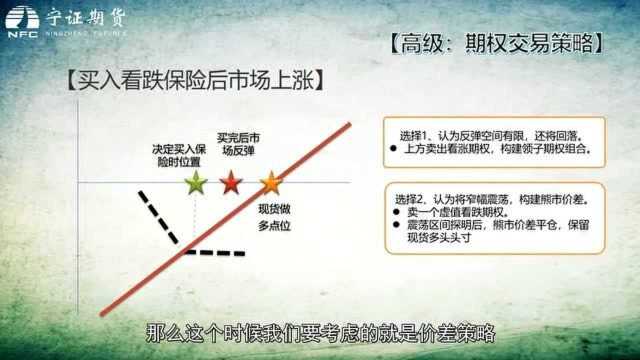 高阶:简单期权策略(十一)|手上持有资产,买入期权保险