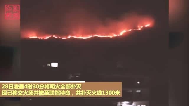 福建漳浦突发山火!火势蔓延40亩,超100名森林消防员连夜扑救