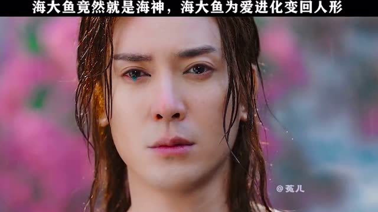 海神竟然是海大鱼,海大鱼为爱进化变回人形 ,太感人