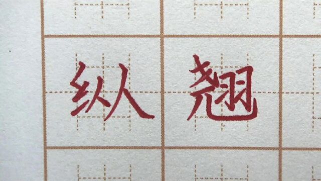 “羽”字要注意什么呢?左小右大?纵翘尼五年级练字楷书书法写字