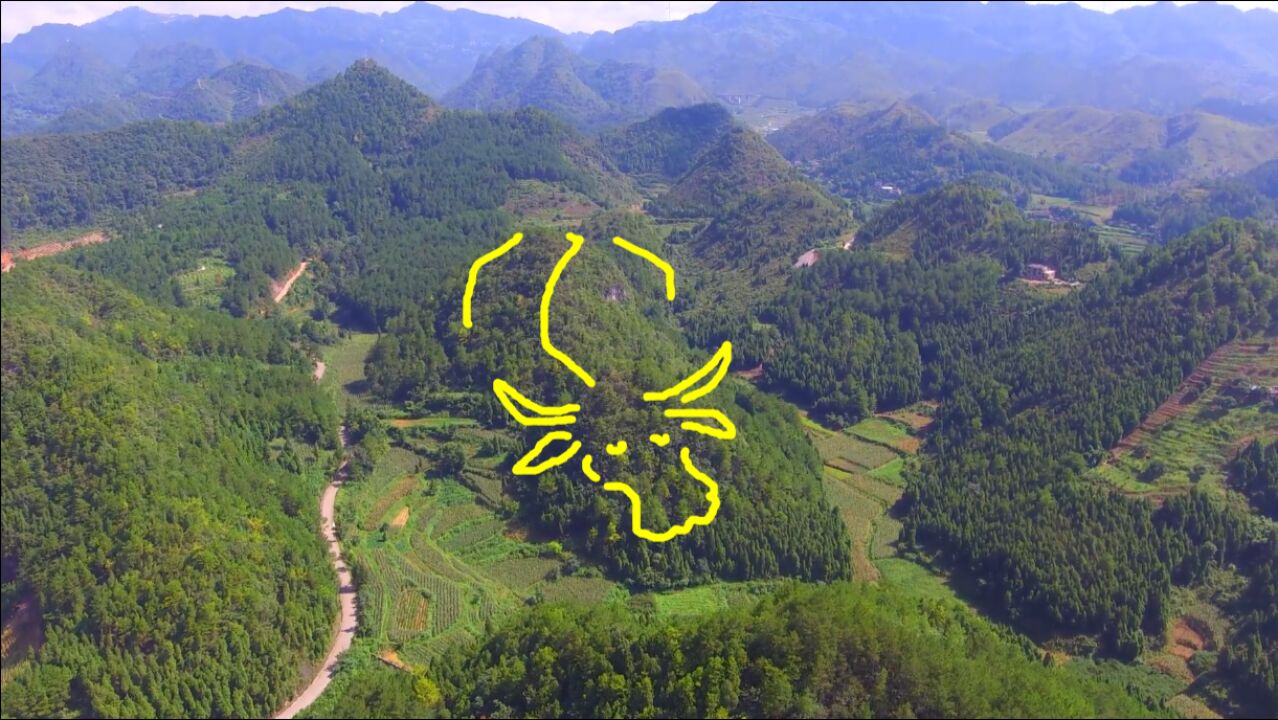 发现一座牛山,牛气冲天,百里挑一的风水宝地