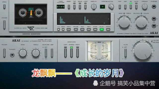 龙飘飘——《成长的岁月》
