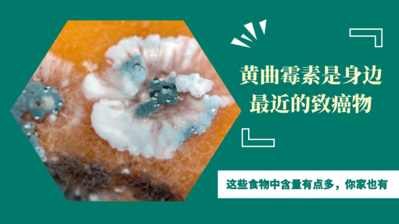 黄曲霉素是身边最近的致癌物，这些食物中含量有点多，你家也有高清1080p在线观看平台腾讯视频 