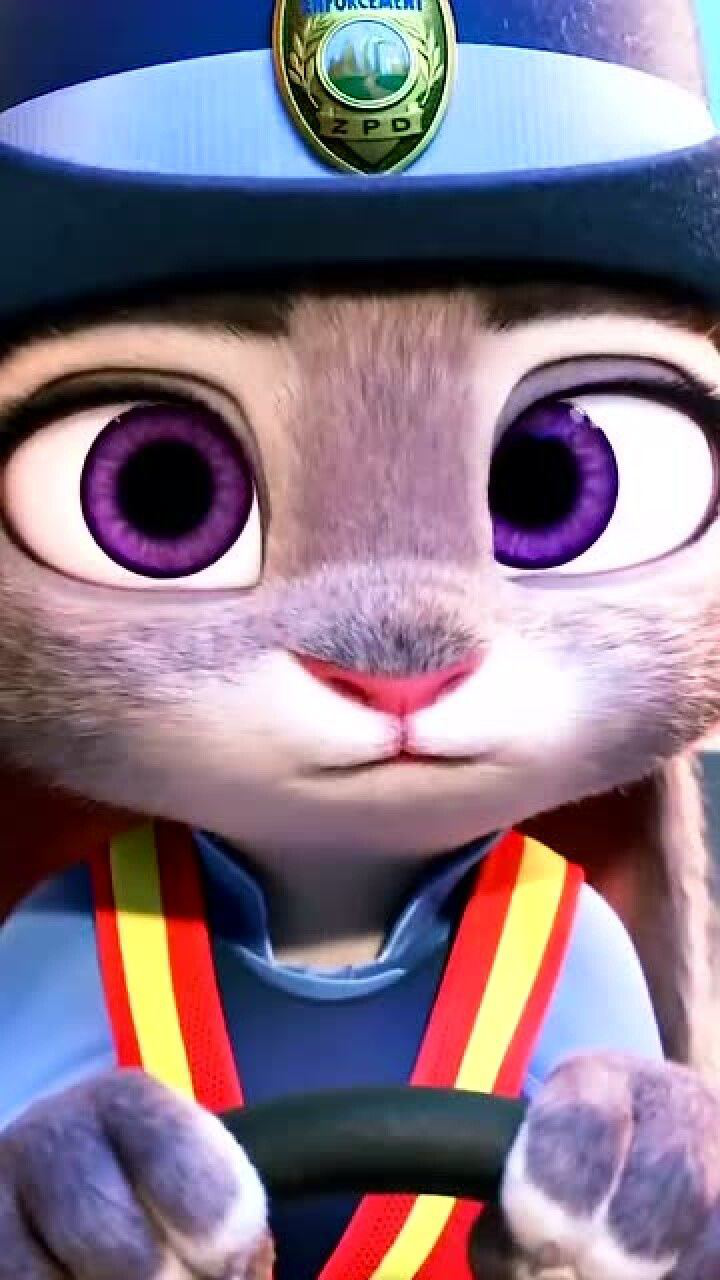 第一个兔子警官朱迪,和尼克的爱情故事,疯狂动物城