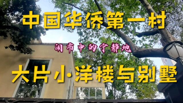 中国华侨第一村,藏在广州闹市,有大片“小洋楼”,显得特别宁静