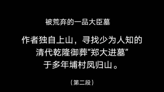 郑大进,官至十三省总督、光禄大夫、太子少傅、兵部尚书、都察院右都御史