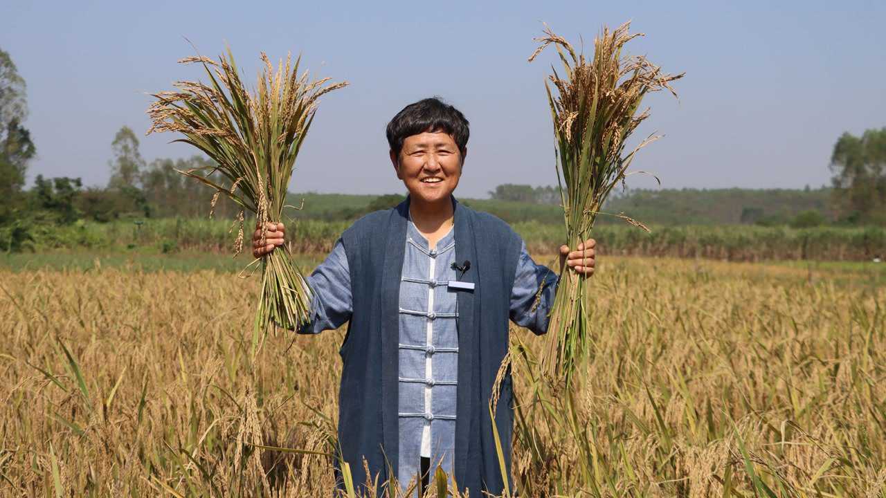 北方水稻南方种 一举成功创奇迹  刘玉珍老师