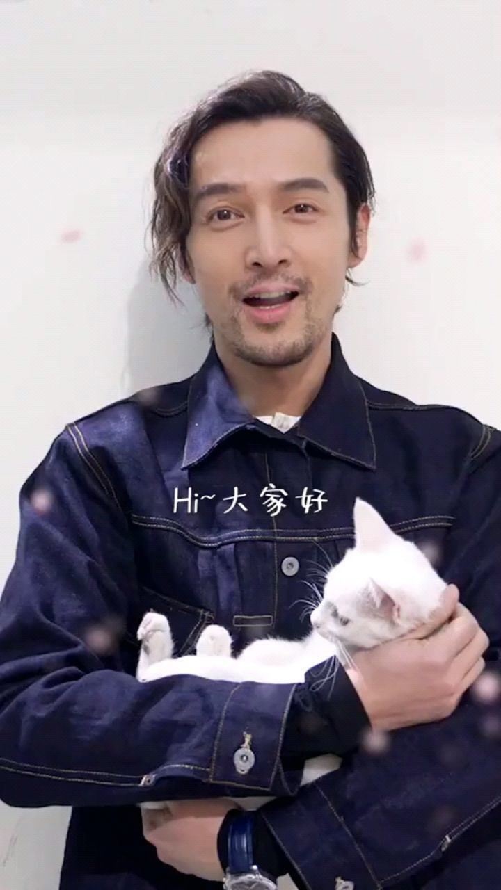 南方车站的聚会即将上映胡歌抱猫咪好可爱