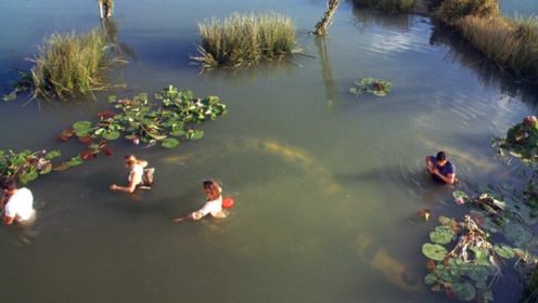探险队途经沼泽湿地，却不知水里有巨型蟒蛇，这下悲剧了！