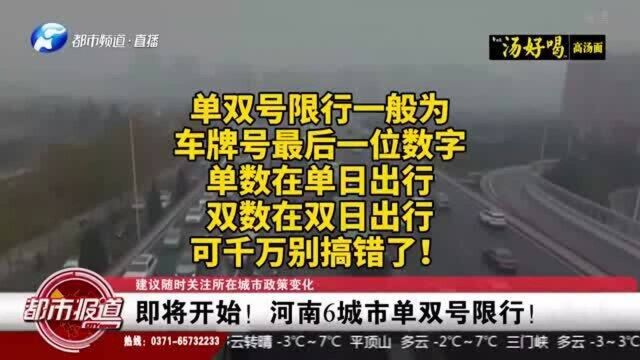 车主注意了!河南6城市单双号限行,“迎战”雾霾!