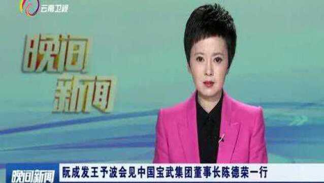 阮成发王予波会见中国宝武集团董事长陈德荣一行