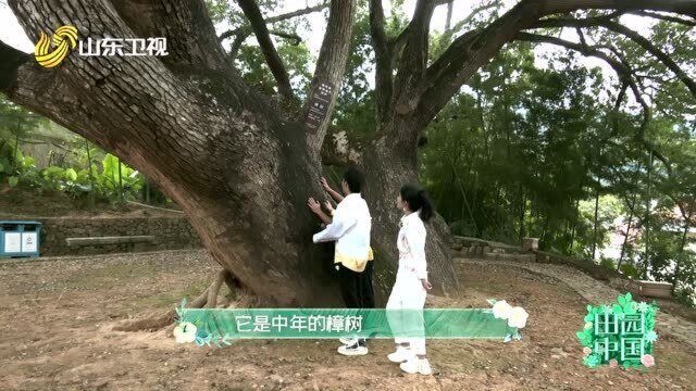 晓龙、沈翀探秘山重村“五古”文化