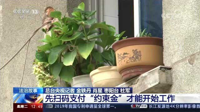 加工茶叶包“返现” 人在家中坐轻松把钱挣?警惕诈骗新花样