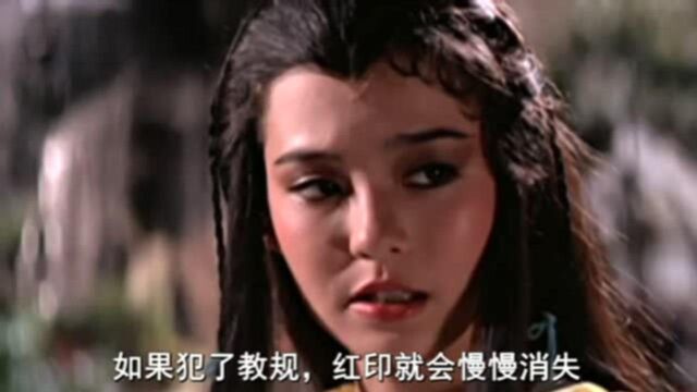 小龙女被尹志平玷污,却被小龙女误以为是杨过杨过,重温经典