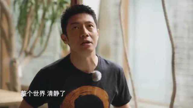 你好生活:撒贝宁尼格买提被测出八字不合