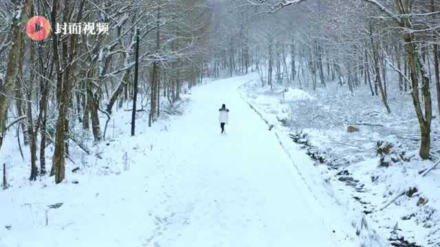 俯仰皆风景 四川广元旺苍唯美雪景惹人爱