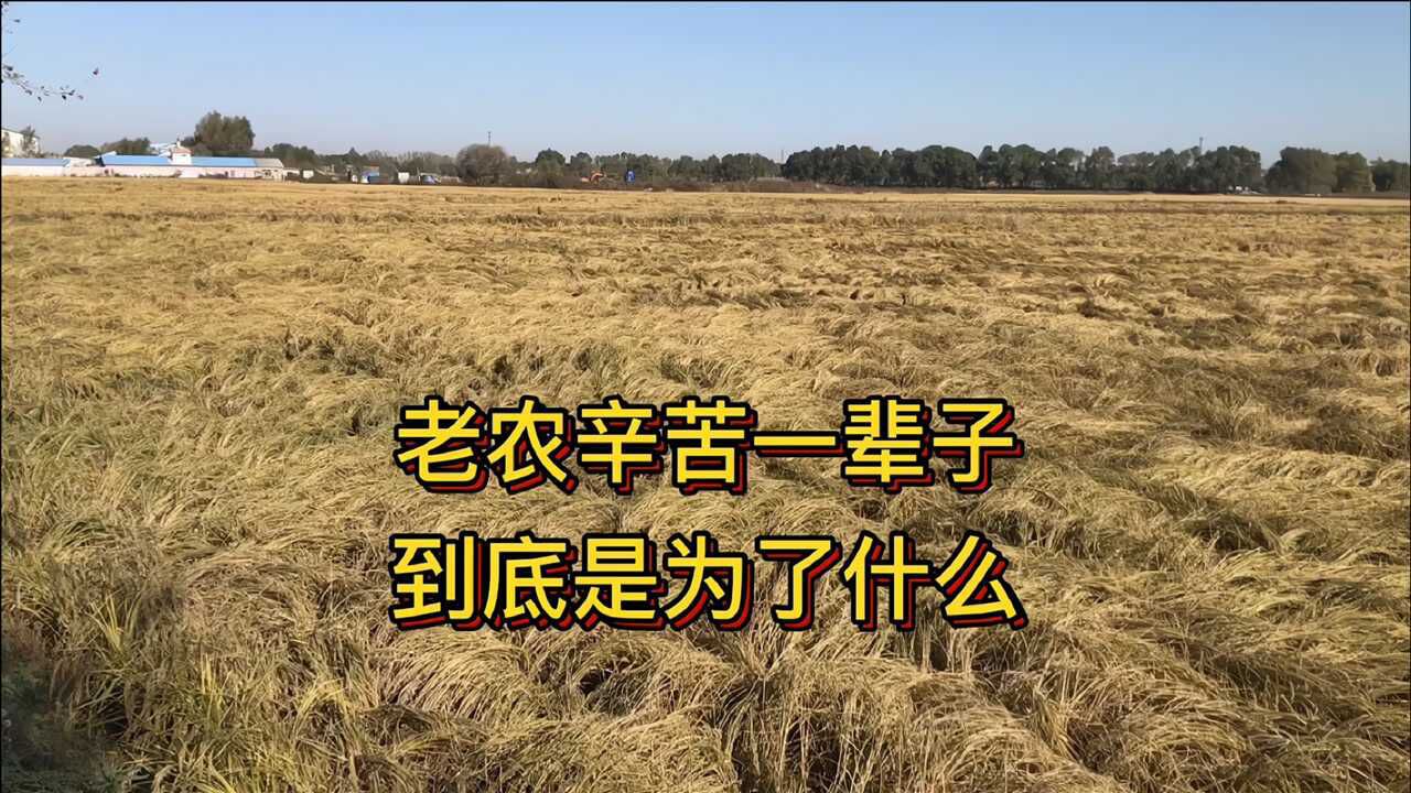 老农艰苦奋斗一生为了什么忍受了多少苦和累背后辛酸谁知道呢