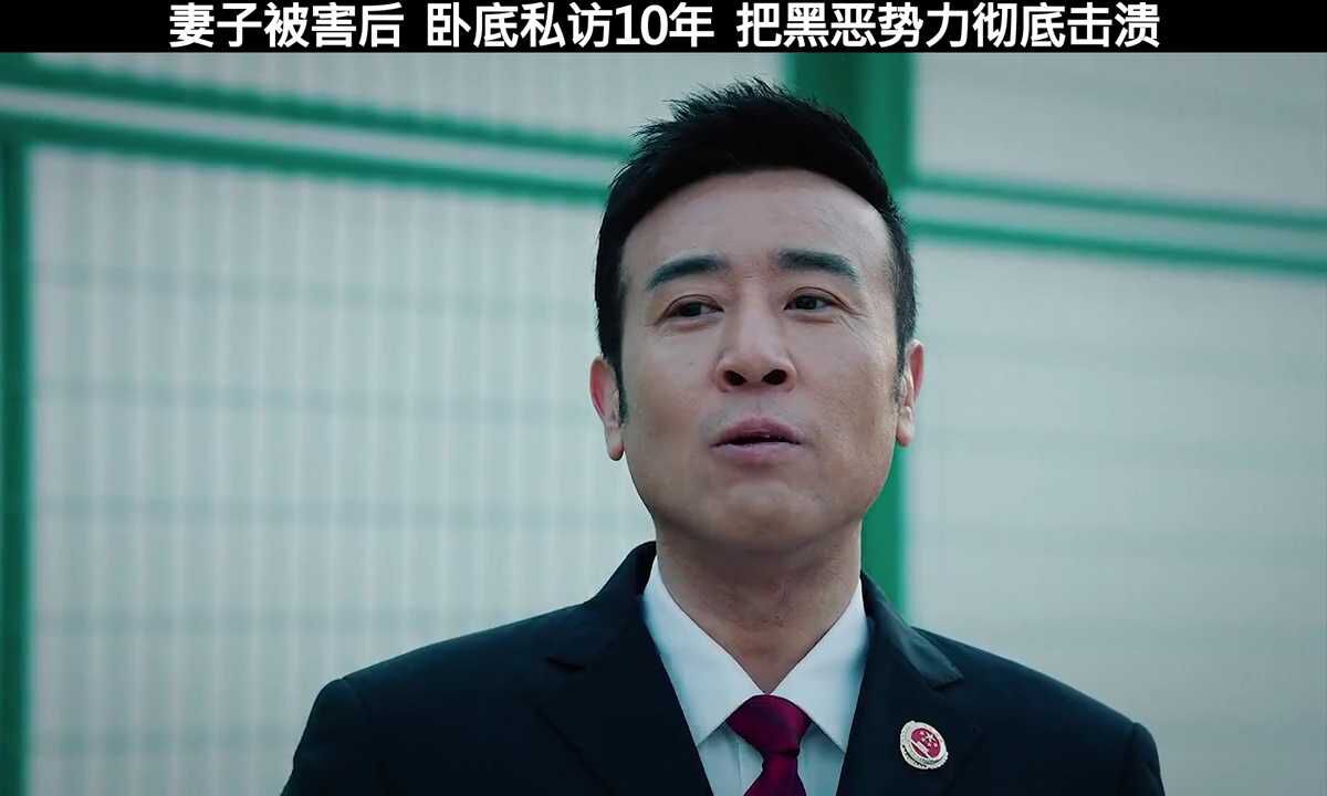 舍得一身剐才敢干政法妻子被害后男主卧底10年只为把恶势力彻底击溃