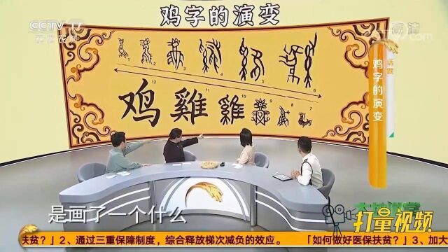 专家现场讲解象形文字“鸡”字的演变,竟有这么多故事