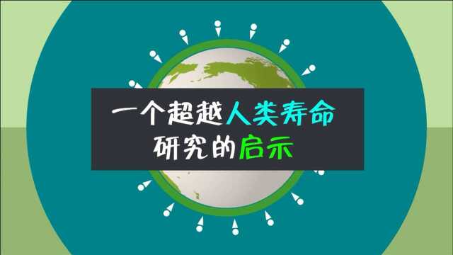 预测及决定寿命的重要指标及因素