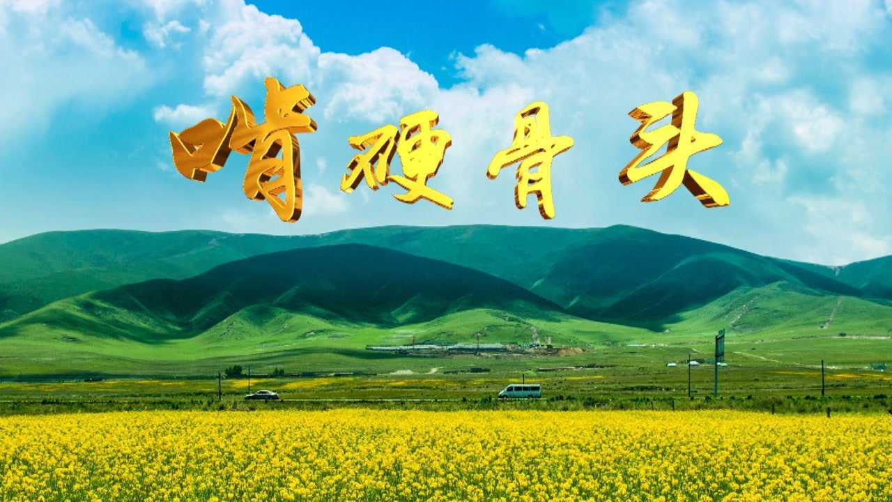 纪录片《啃硬骨头》