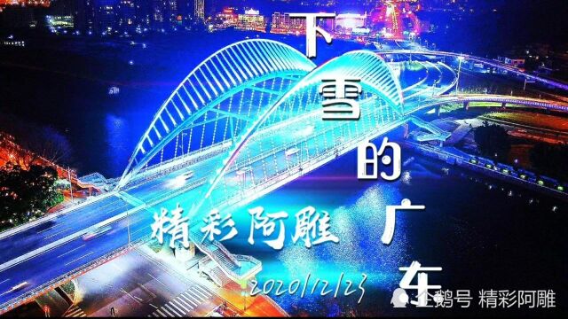 白色桔梗花MV