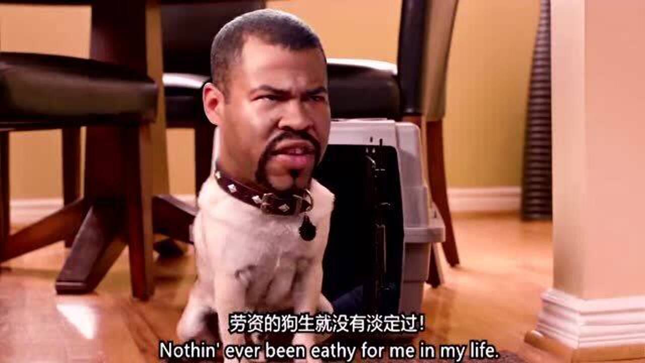 基和皮尔:这两兄弟,终于对狗狗下手了