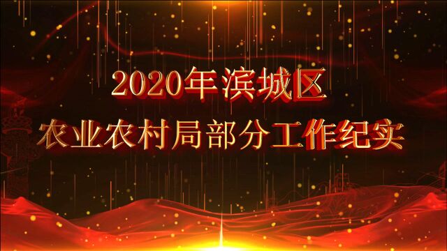 滨州市滨城区农业农村局2020年部分工作纪实