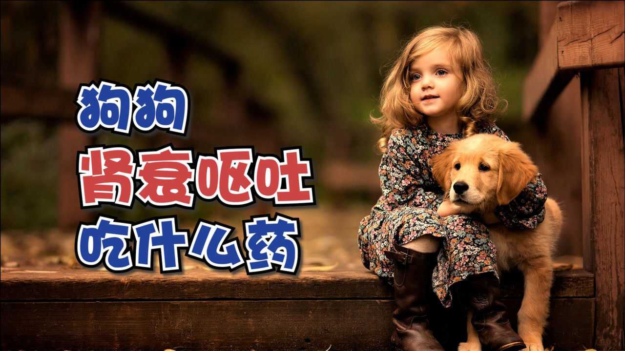 狗狗腎衰嘔吐吃什麼藥_騰訊視頻