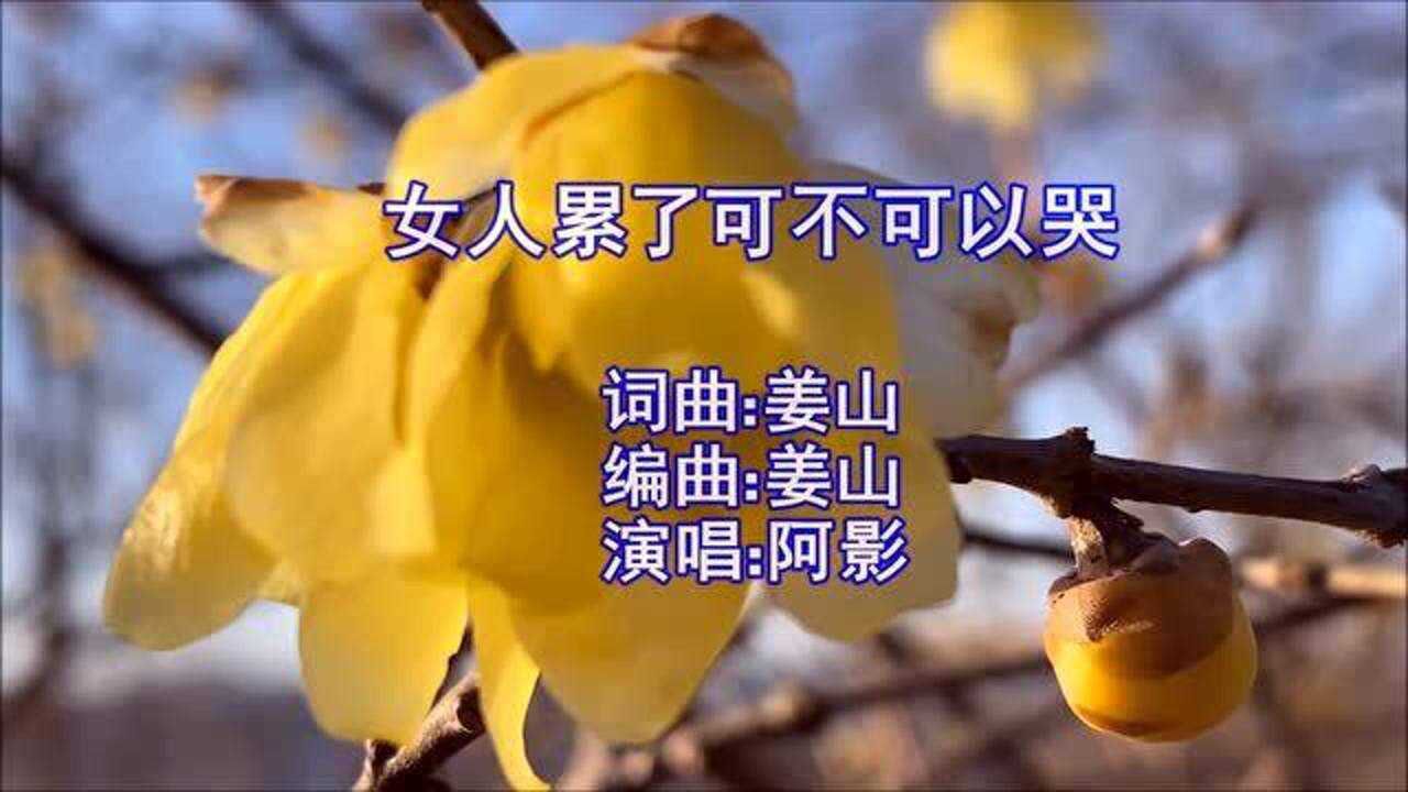 阿影一曲女人累了可不可以哭唱出多少心酸和眼泪