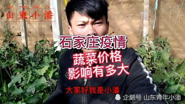 实拍石家庄疫情对蔬菜价格影响有多大,山东产地蔬菜最新价格.