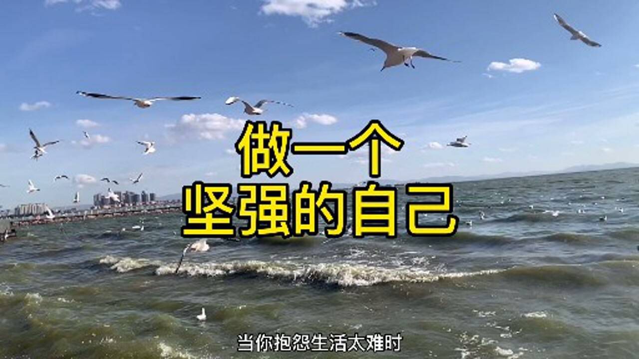 坚强的图片励志微信图片