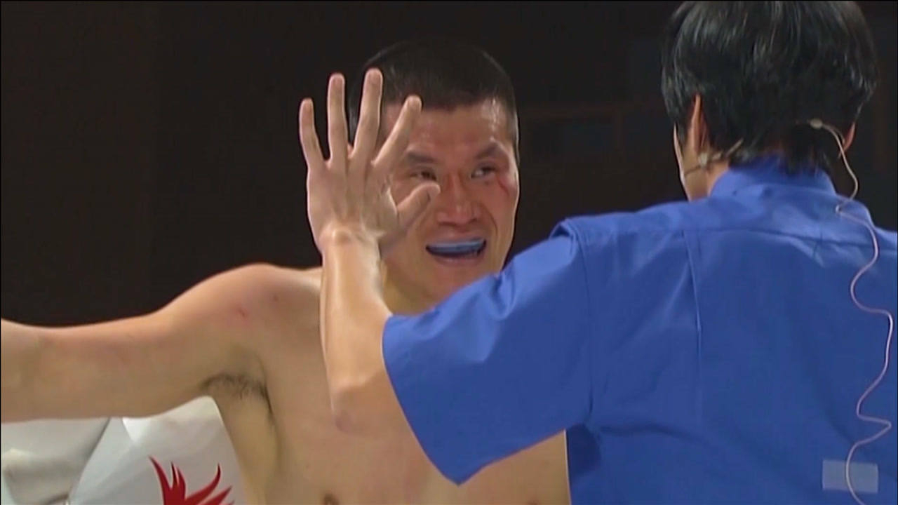 Thumbplayer Poster Plugin Image