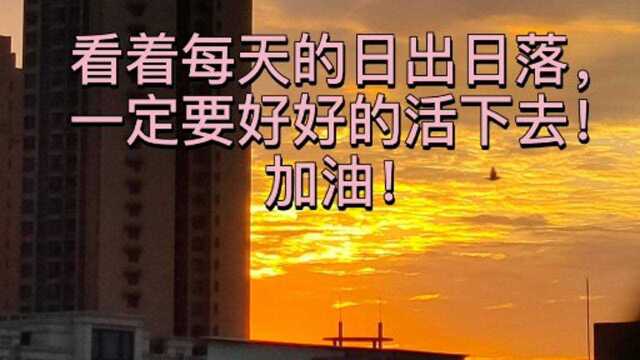 感恩每一天!