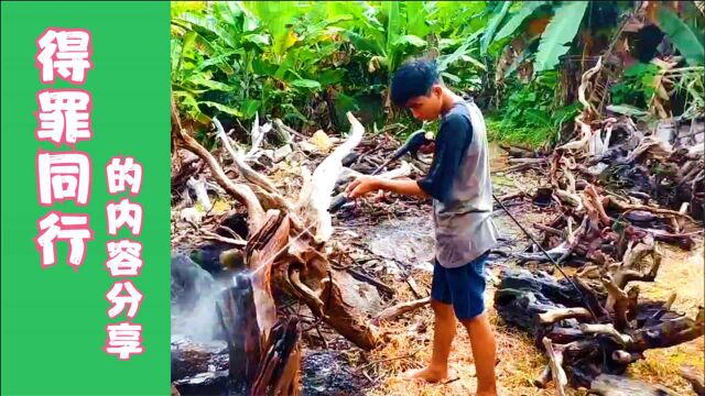 内容过于实在,鱼缸造景沉木,原来是这么回事