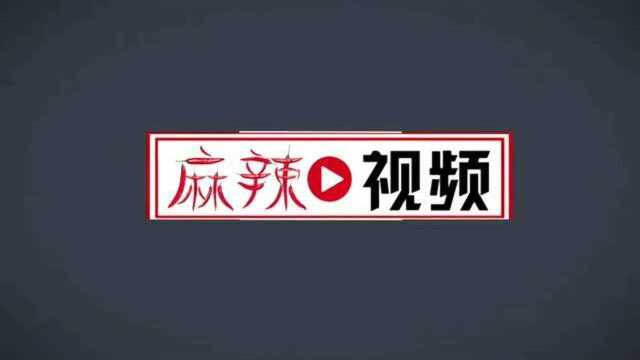 3000辆东风富康ES500新能源出租车即将在成都上路