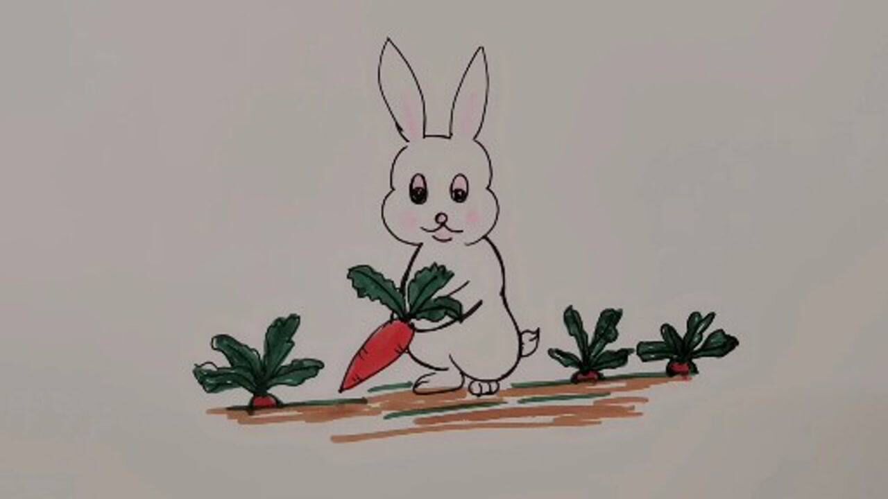 简笔画——拔萝卜的小白兔