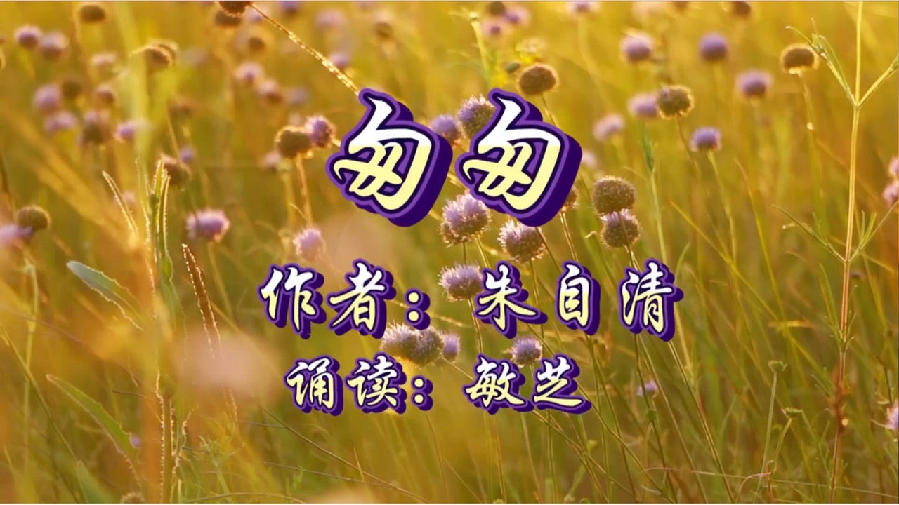 新春在即一首朱自清《匆匆》祝大家新年快樂,幸福安康