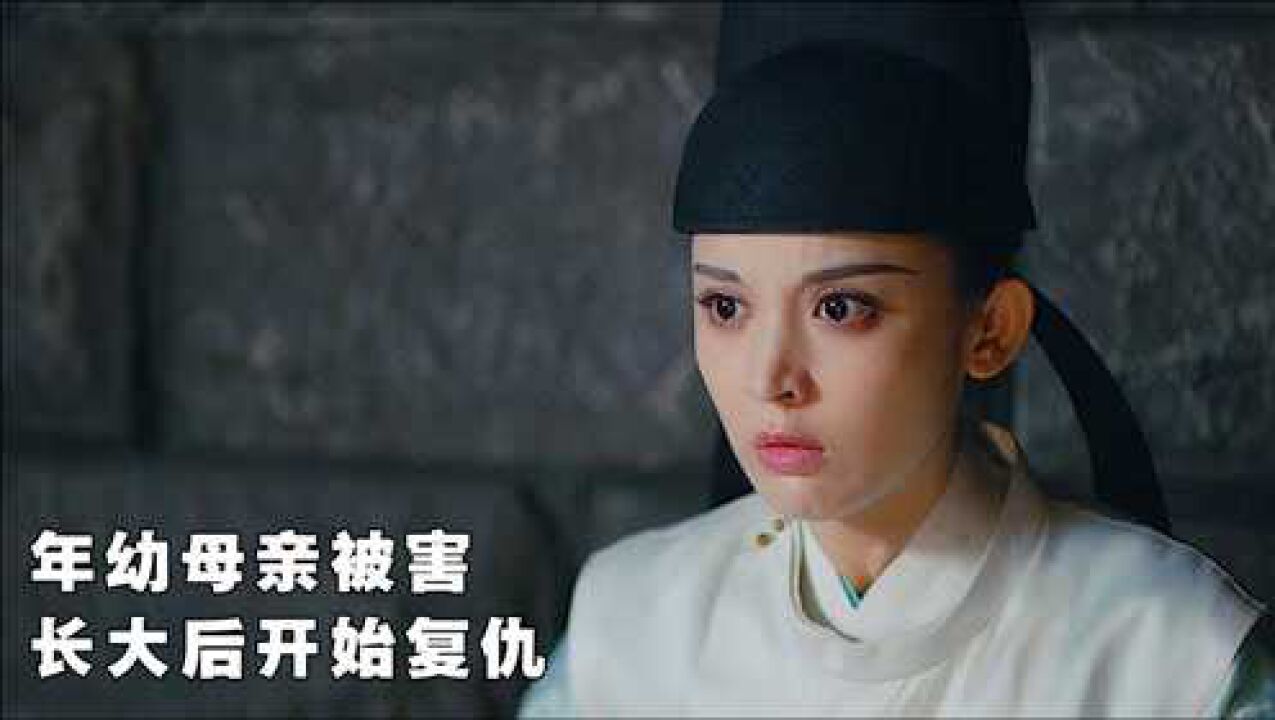 公主被陷害入天牢太子将她解救公主出来后报复仇人