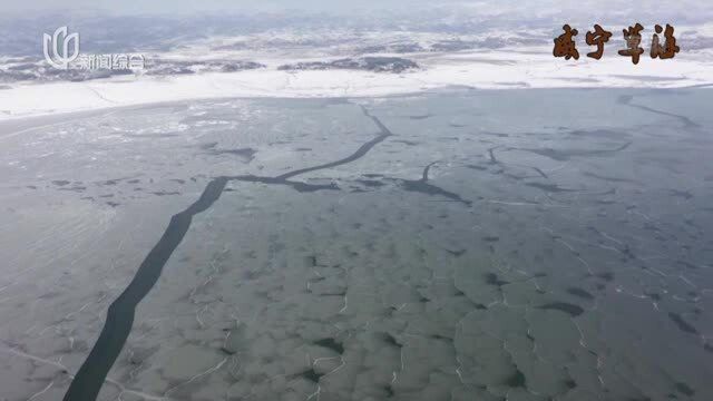 威宁草海湖面结冰 出现高原冰河奇观