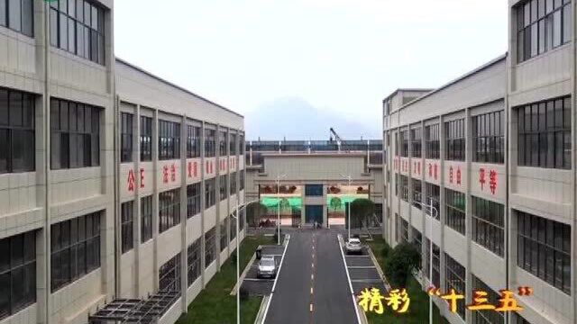 【精彩“十三五”】武宁县聚力构建绿色经济生态 产业实力显著增强