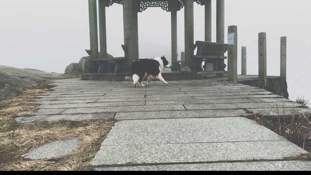 东狮山风景区一日游