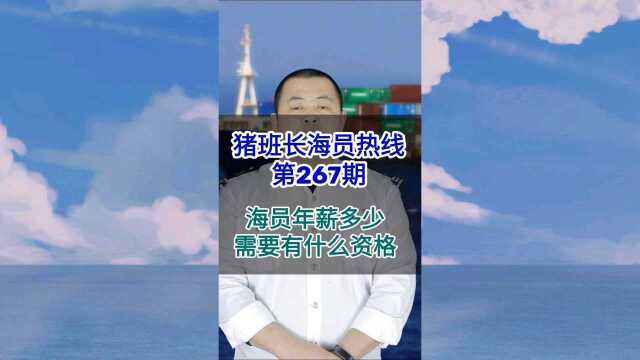 第267期【猪班长海员热线】海员年薪多少,需要有什么资格